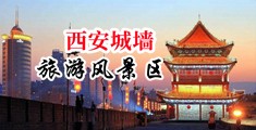 大鸡把插嫩逼91中国陕西-西安城墙旅游风景区